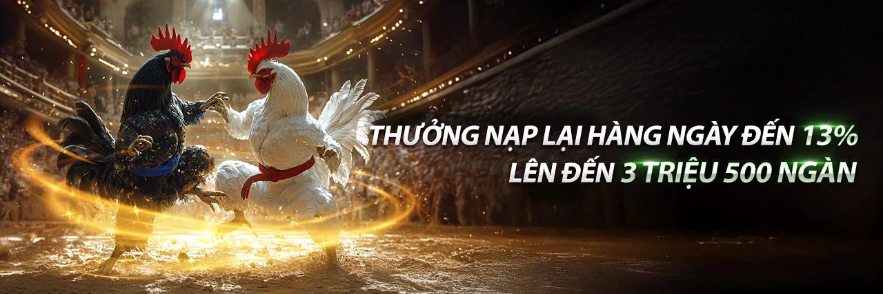 Đá gà trực tiếp kịch tính tại DK68
